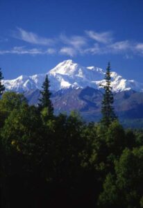 Them That's Doin': An Alaska Homestead Image
